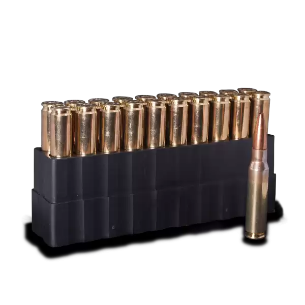 .308 WIN 115GR CC BLEMS - Image 3